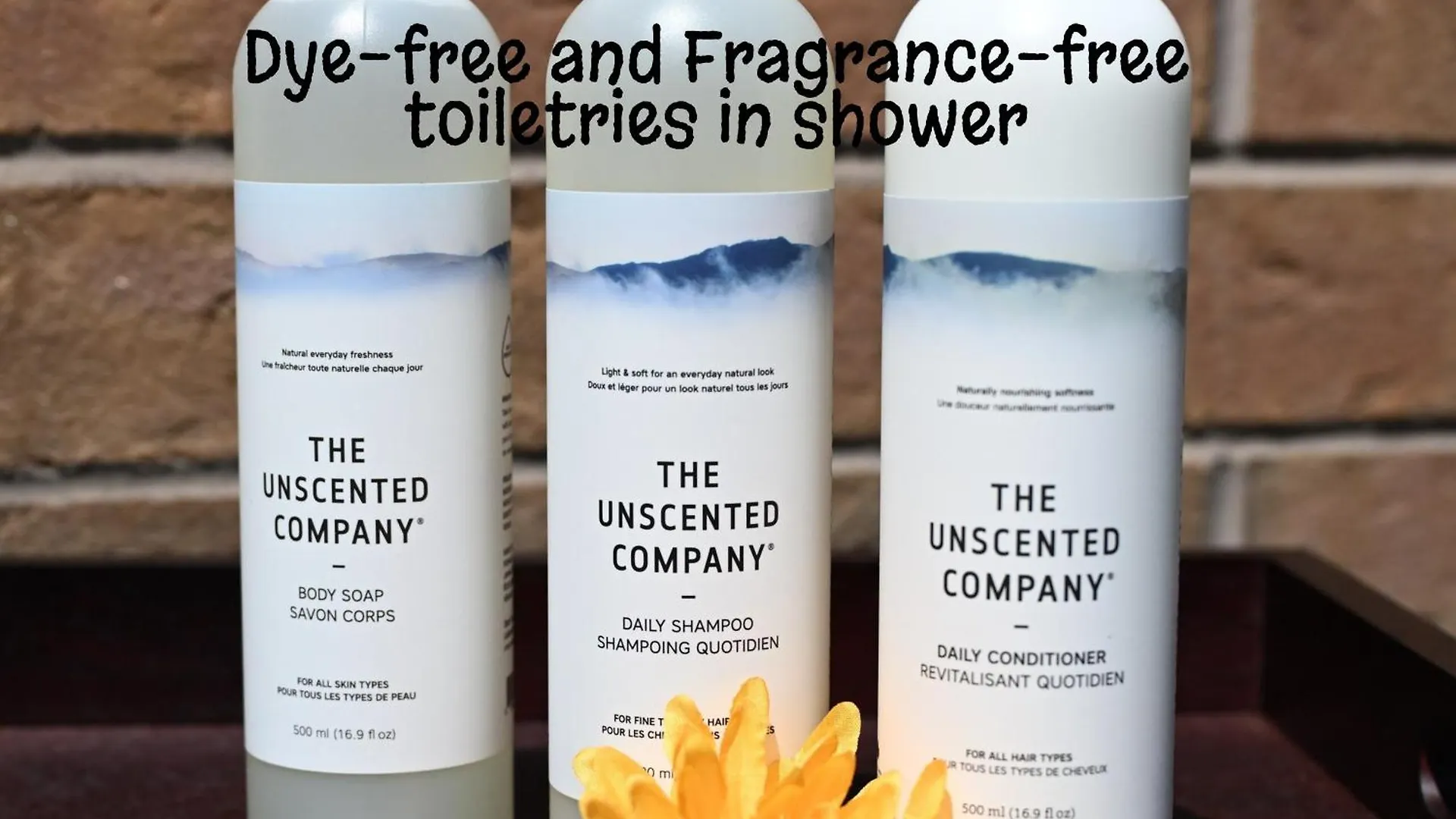 تورونتو Welcome Home! Acores Bed & Breakfast