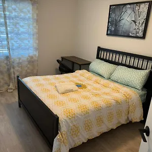 check availability