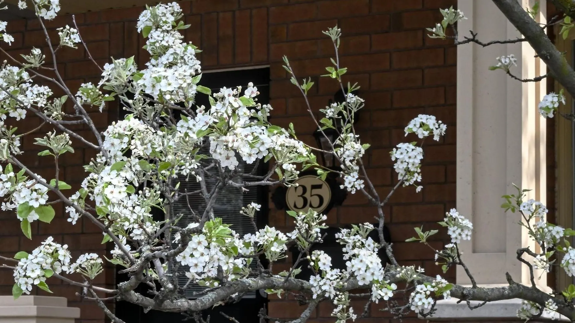 Welcome Home! Acores Bed & Breakfast Toronto